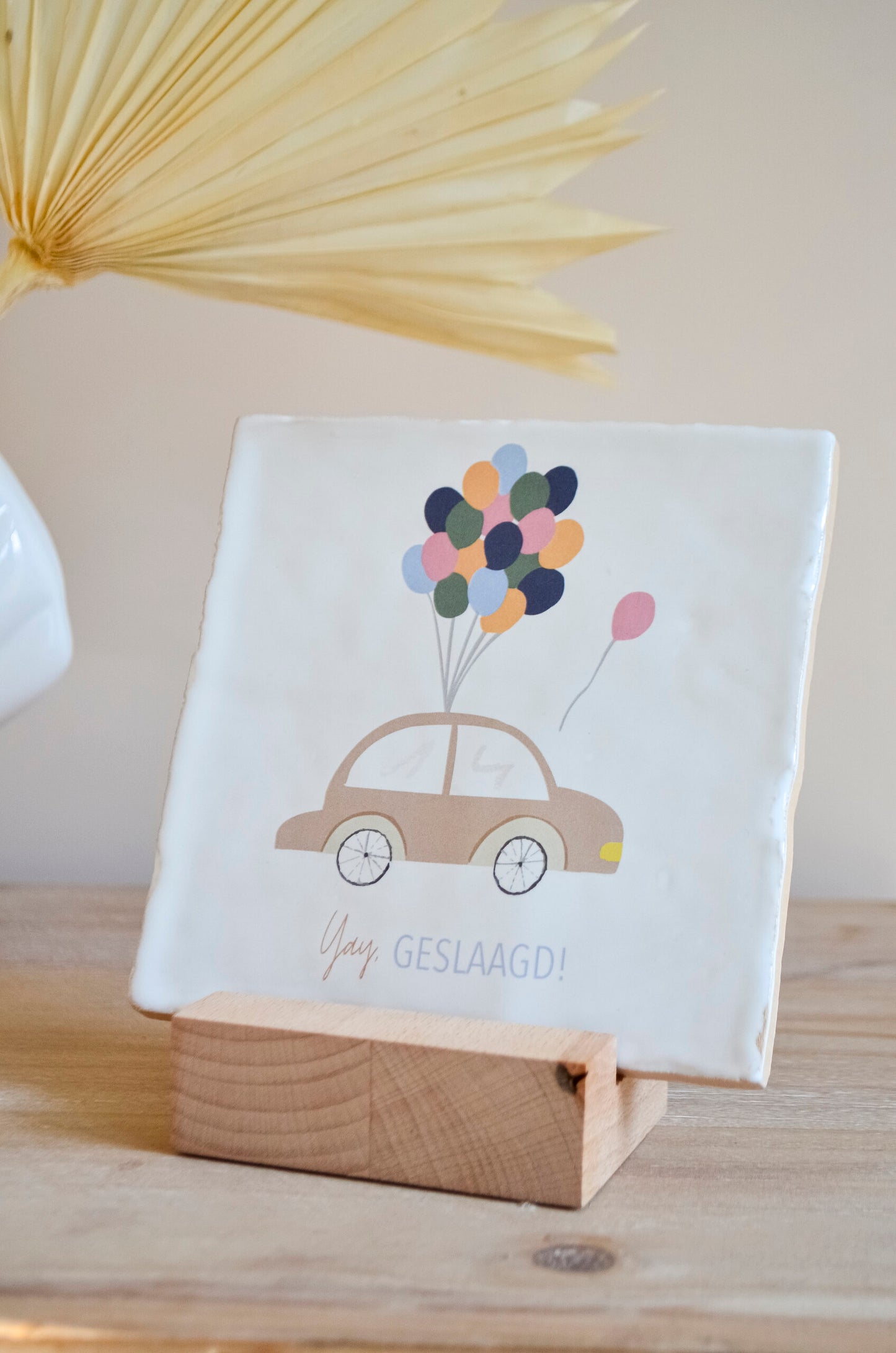 gepersonaliseerd cadeau, geslaagd cadeau, diploma, afstudeercadeau