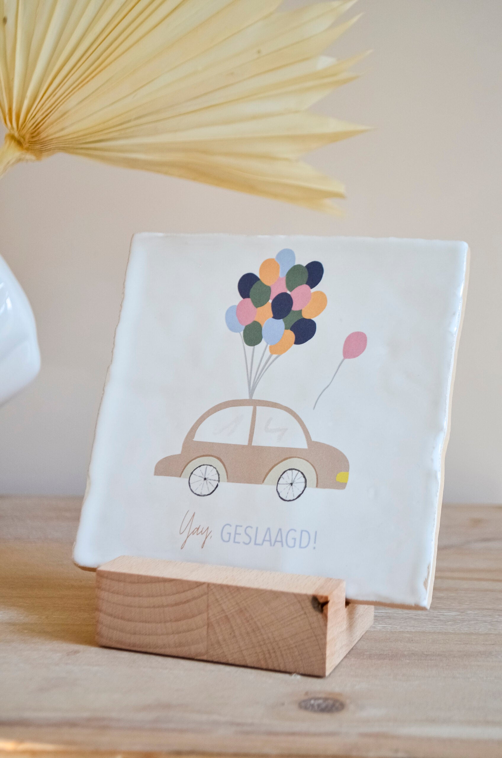 gepersonaliseerd cadeau, geslaagd cadeau, diploma, afstudeercadeau