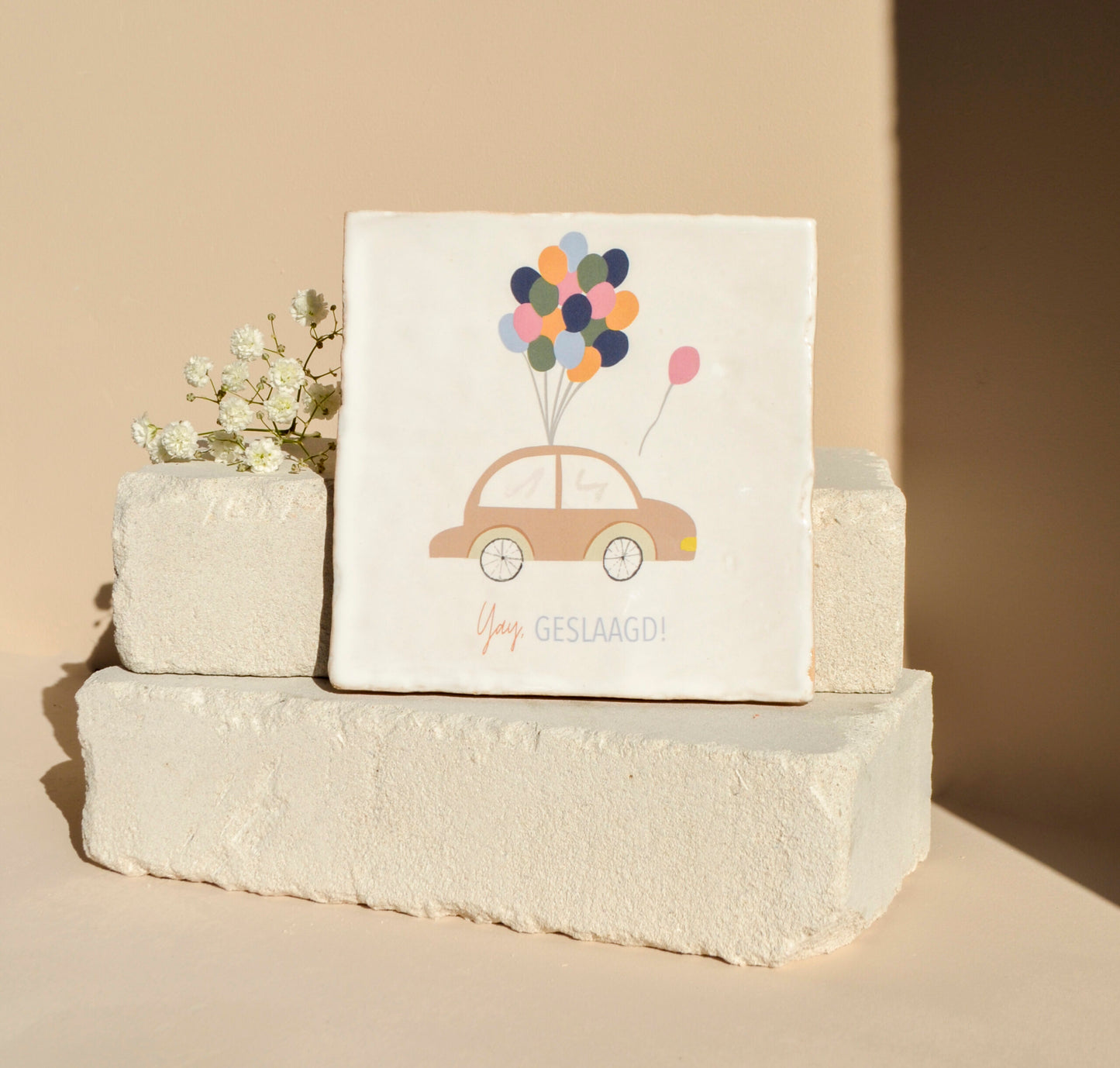 gepersonaliseerd cadeau, geslaagd cadeau, diploma, afstudeercadeau